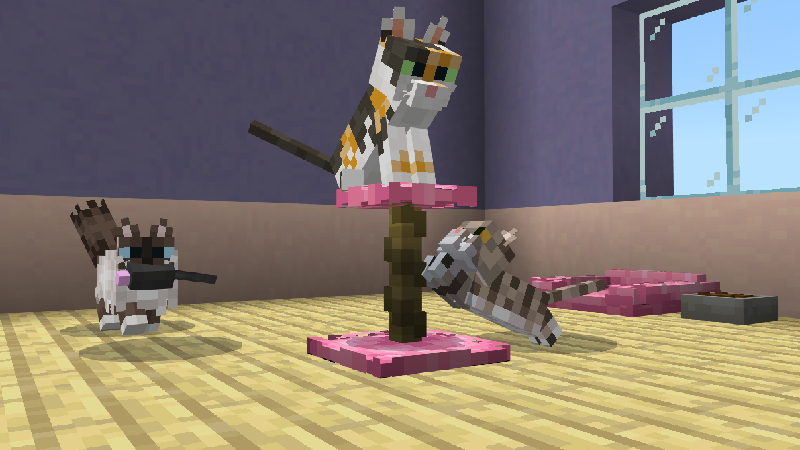 CATS Add-On CATS Add-On by ChewMingo