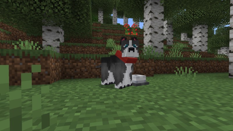 Cats And Dogs Add-On! Screenshot #9