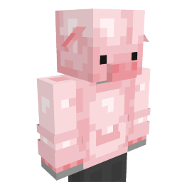 Baby Pig Suit