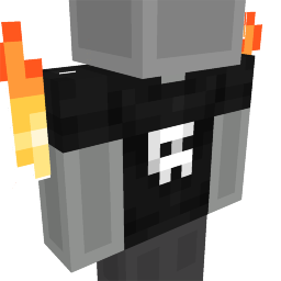 Skull Fire Top