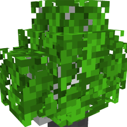 Big Bush