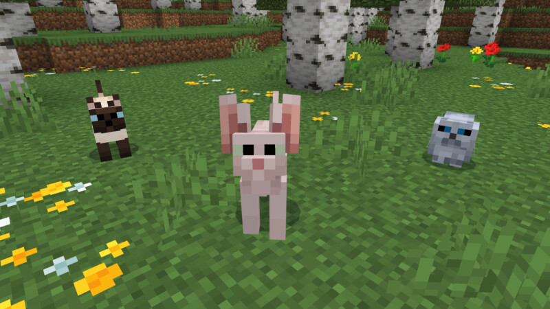 Basic Cats Add-On (1.0) Basic Cats Add-On (1.0) by CrackedCubes