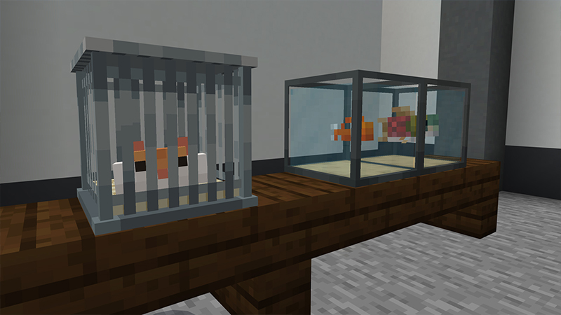 ANIMAL SHELTER ANIMAL SHELTER by Minty