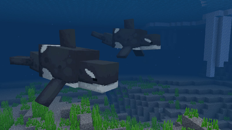 Aquatic Life Add-On Screenshot #1