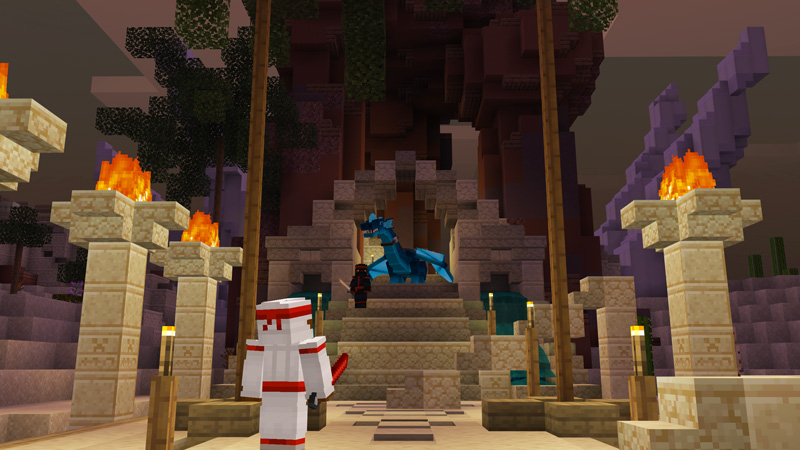 Ninjas and Dragons screenshot 5