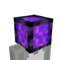 Nether Portal Head