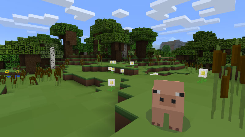 Plastic Texture Pack Plastic Texture Pack by Minecraft