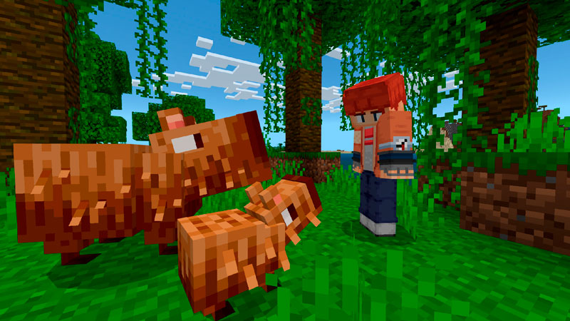Biome Pets 1.3 Add-On Biome Pets 1.3 Add-On by Logdotzip