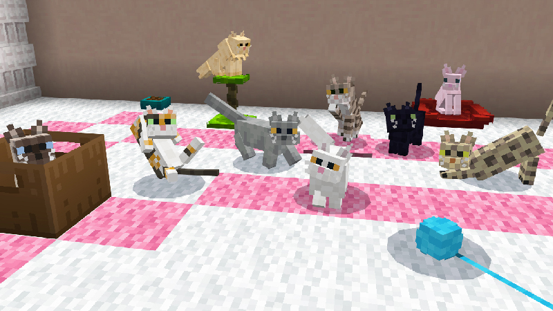 CATS Add-On CATS Add-On by ChewMingo