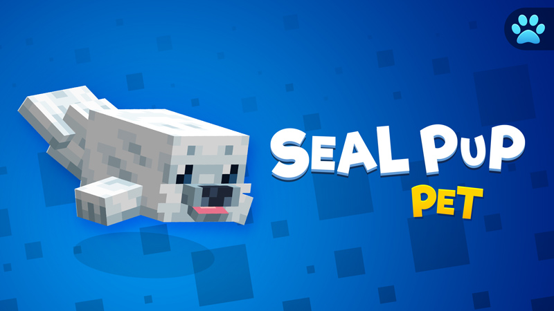Seal Pup Pet