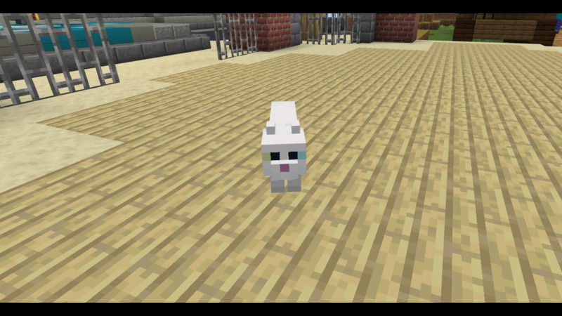 Cat Pet Screenshot #1