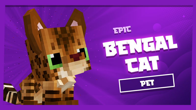 Bengal Cat Pet Key Art