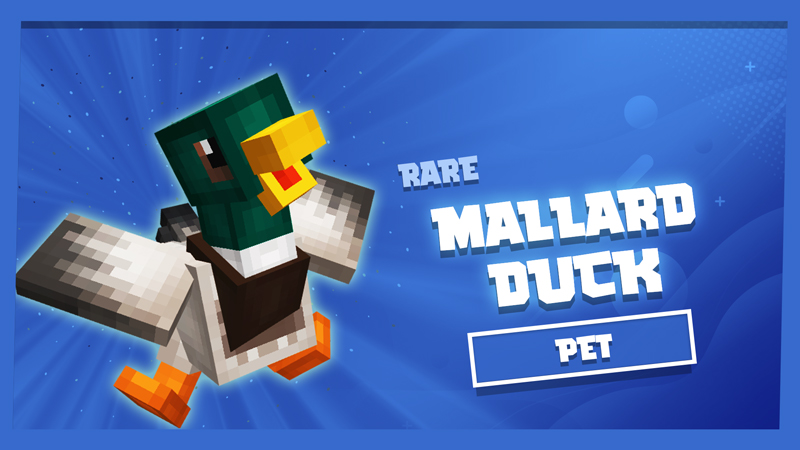 Mallard Duck Pet Key Art