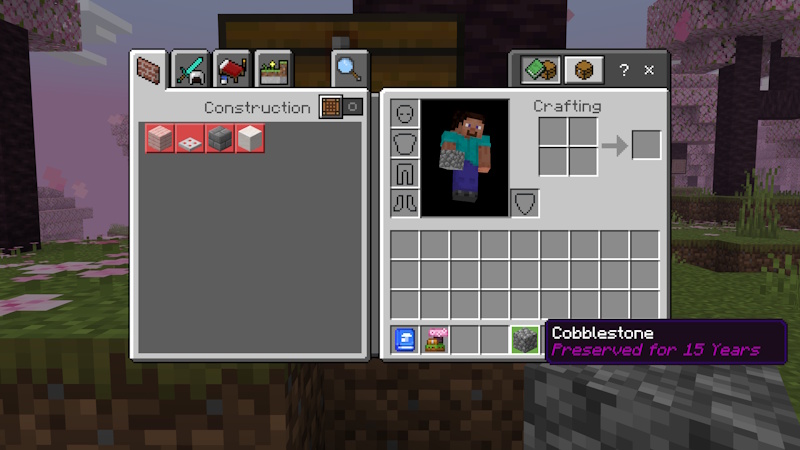 Time Capsule Add-On Screenshot #5