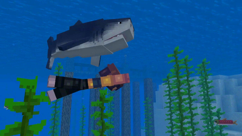 Sharks Survival by Kreatik Studios