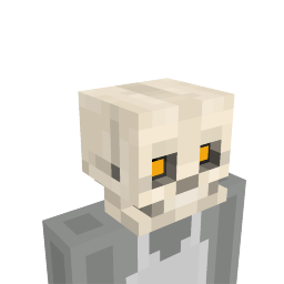 Skeleton Skull