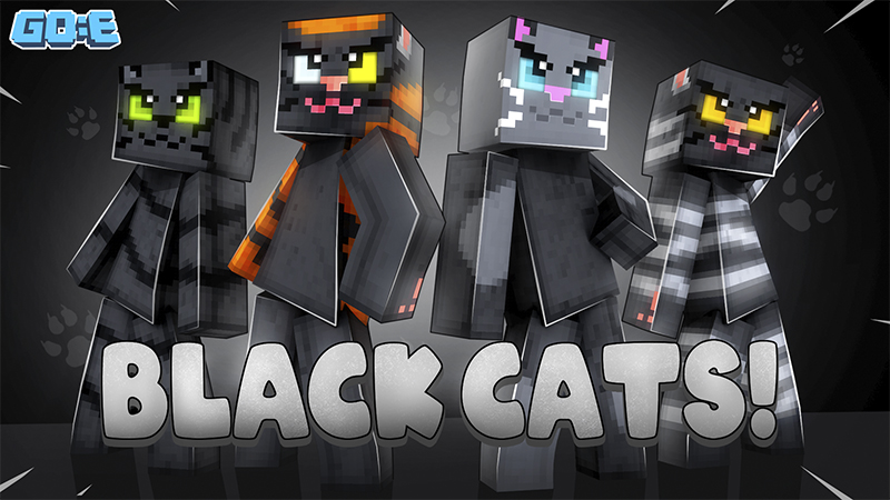 Black Cats! Key Art