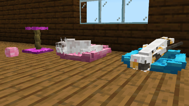CATS Add-On CATS Add-On by ChewMingo