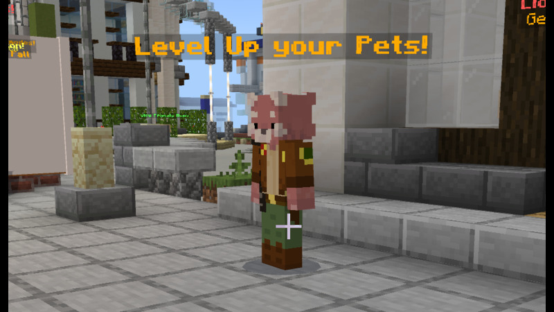 Pet Level Up - MAX Level Screenshot #2