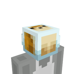 Pufferfish Aquarium Head