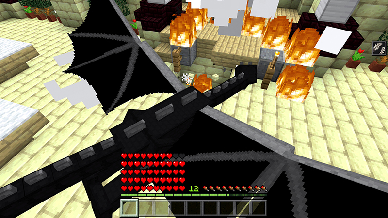 ENDER DRAGON Screenshot #2