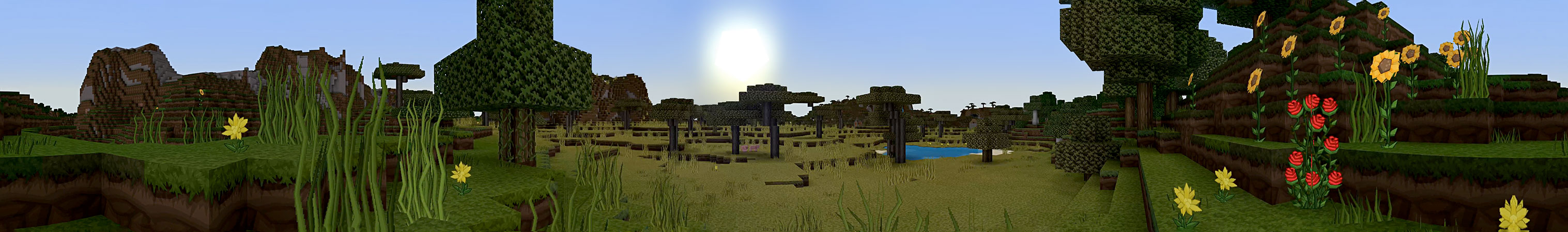 PureBDcraft Panorama