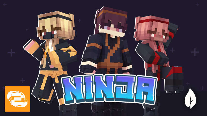 Ninja! Key Art