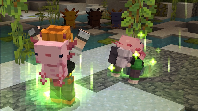 Backpack Add-On Screenshot #4