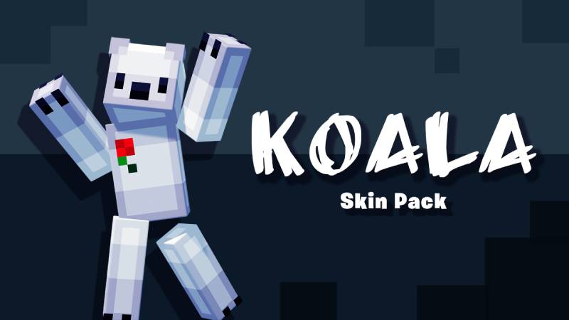 Koala Key Art
