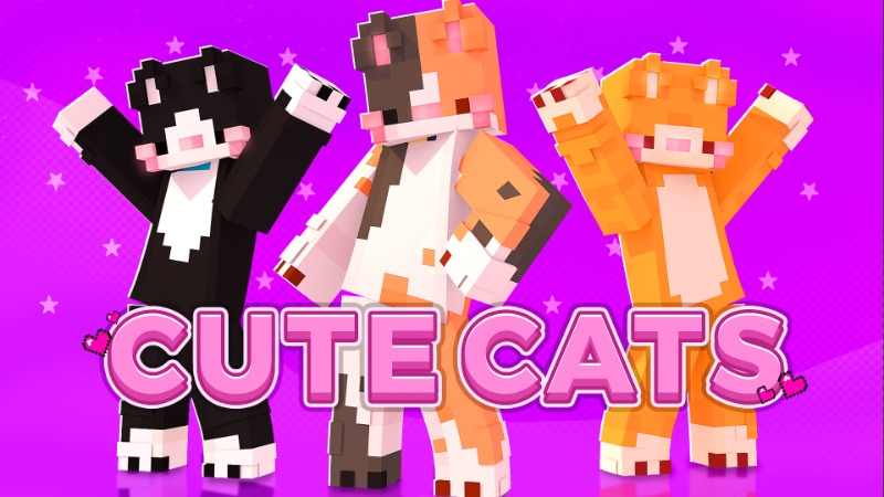 Cute Cats