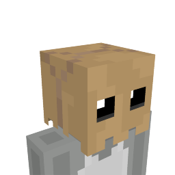 Paper Bag Head on the Minecraft Marketplace by JFCrafters