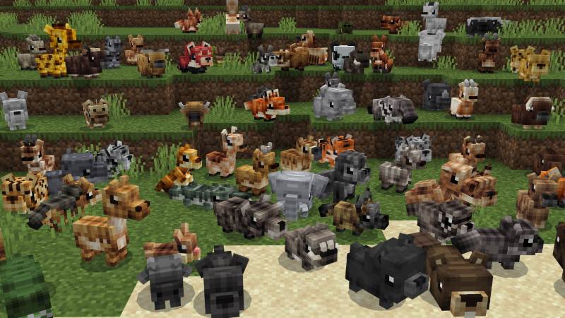 BABY ANIMALS Add-On Screenshot #7