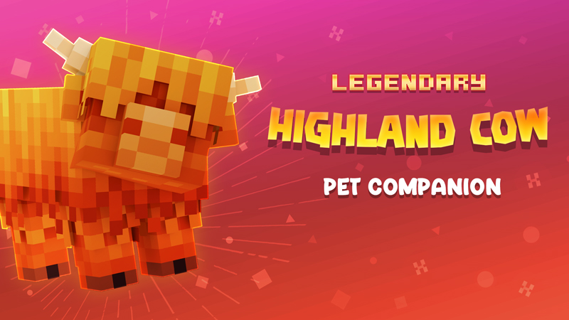 Highland Cow Pet