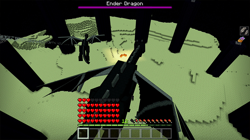 ENDER DRAGON Screenshot #4