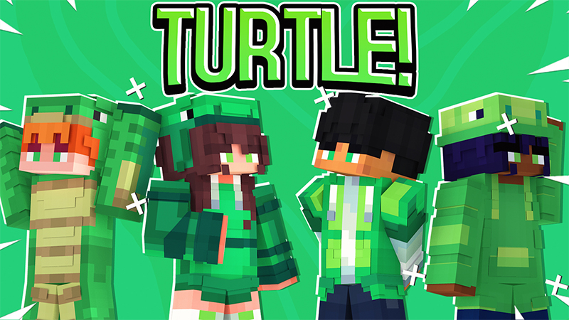 Turtle! Key Art