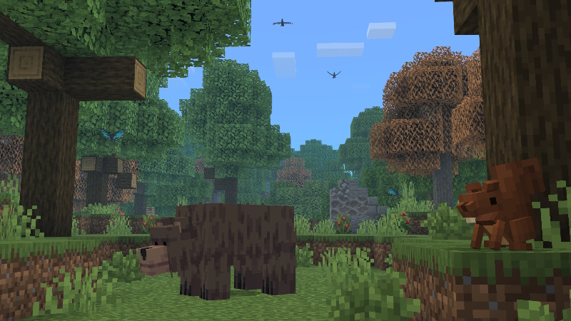 Biomes, Animals Structures Minecraft