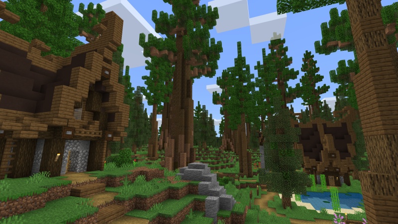 Redwood Adventure Redwood Adventure by Fall Studios