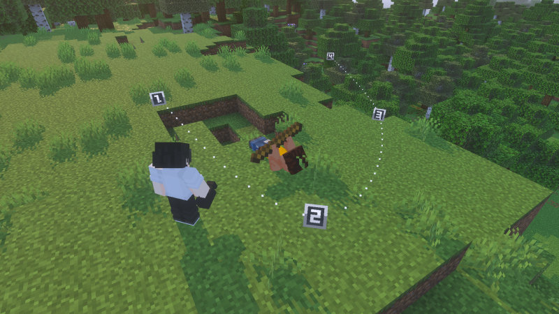 Cinecam Add-On screenshot 4