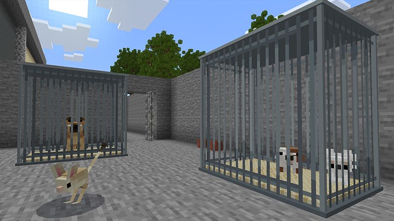 ANIMAL SHELTER ANIMAL SHELTER by Minty