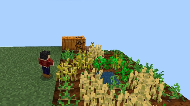 Farmer Mini-Me Screenshot #1