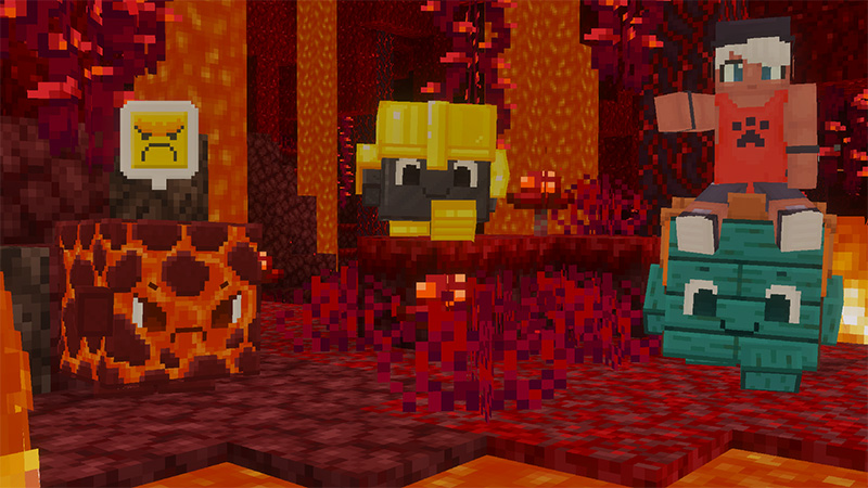 Block Pets Block Pets by Wonder