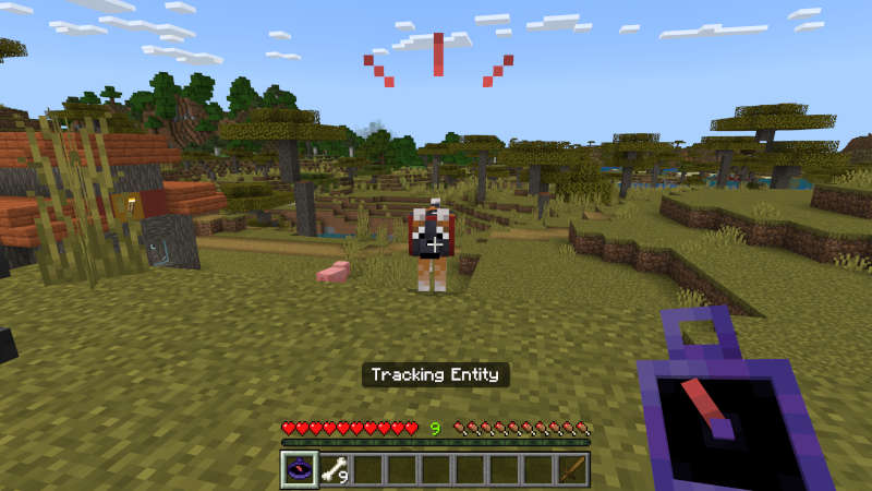 Advanced Compass Add-On Screenshot #2