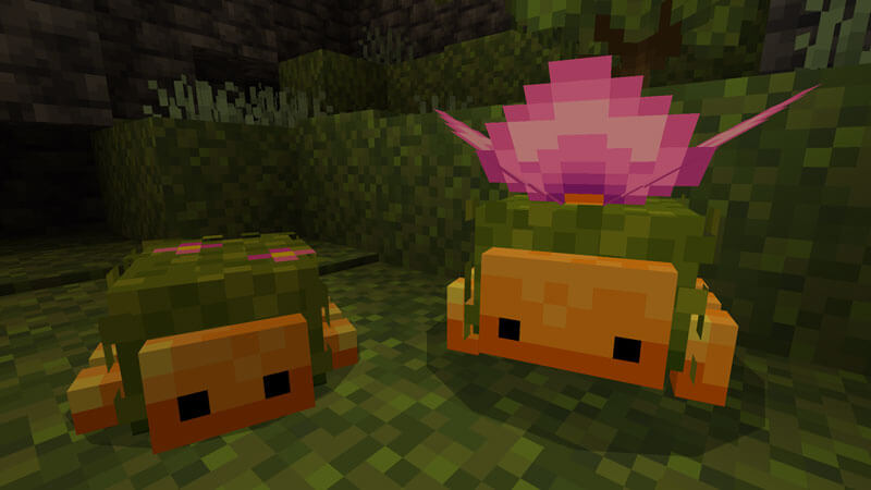 Biome Pets screenshot 9