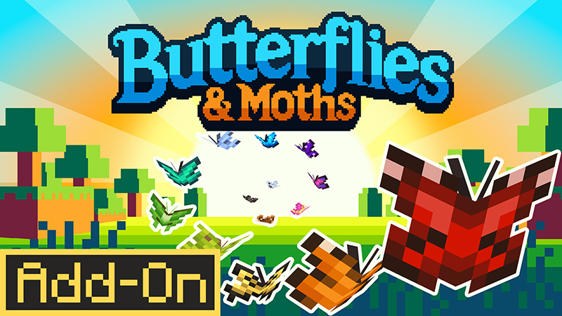 Butterflies & Moths