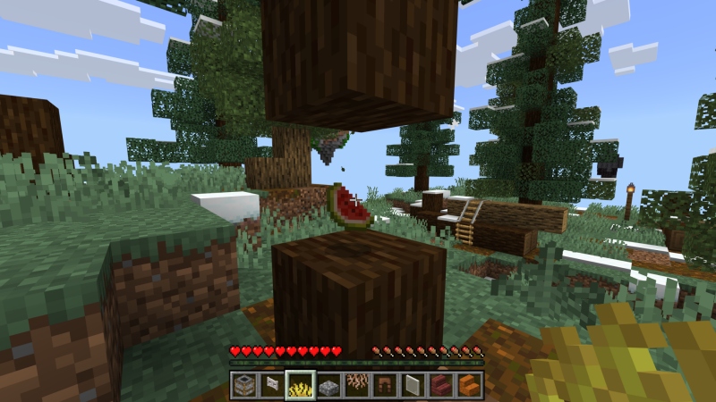 Random Drop Skyblock Random Drop Skyblock by Fall Studios