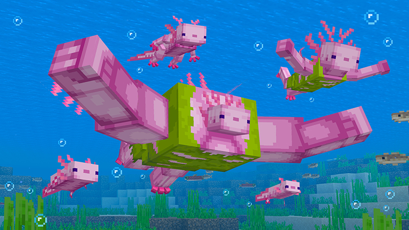 Axolotl Evolve by Float Studios
