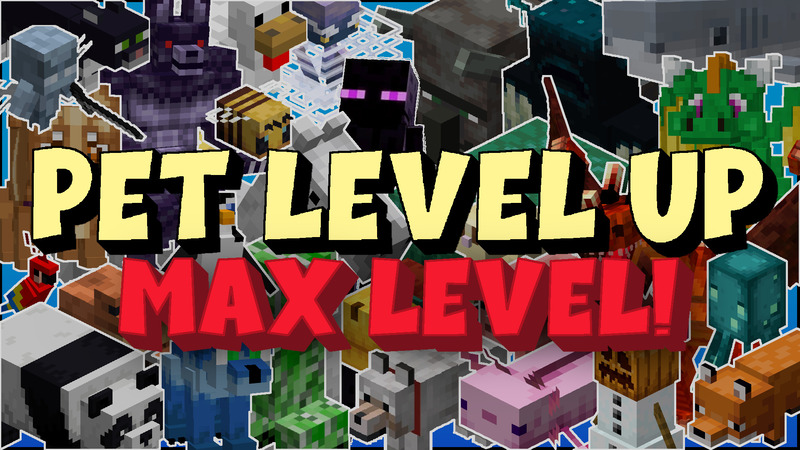 Pet Level Up - MAX Level Key Art