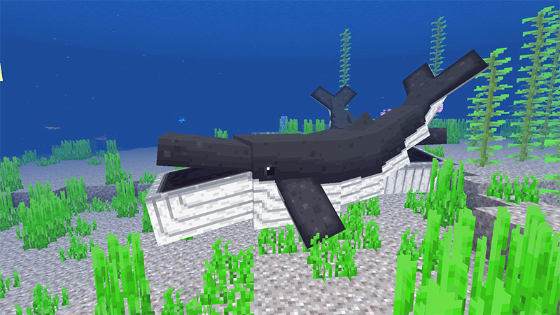 Ocean Expansion Add-On 3.0 screenshot 7