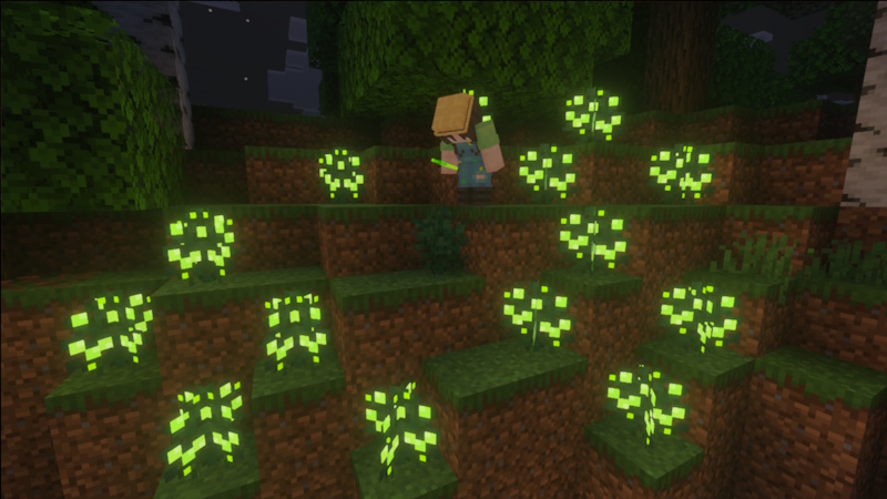 XP Berries XP Berries by Block Perfect Studios