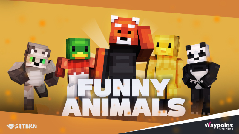Funny Animals